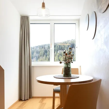 Forsthaus Apartments - Mitten Im Skigebiet Klaffer am Hochficht Exterior photo