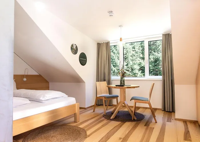 Forsthaus Apartments - Mitten Im Skigebiet