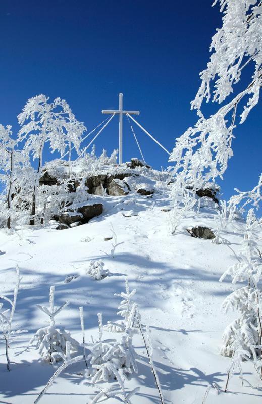 Forsthaus - Mitten Im Skigebiet *