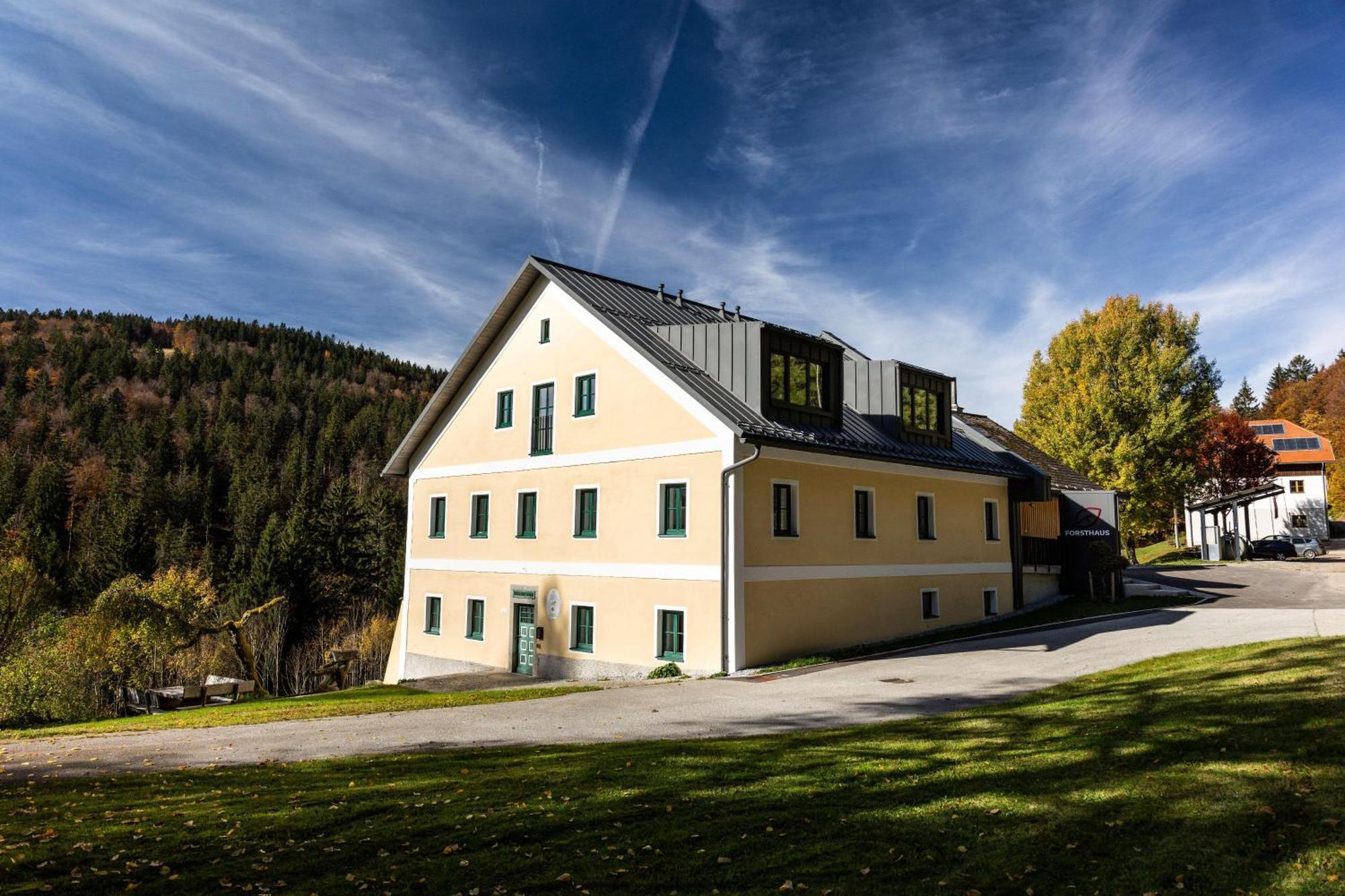 Apartment Forsthaus - Mitten Im Skigebiet *