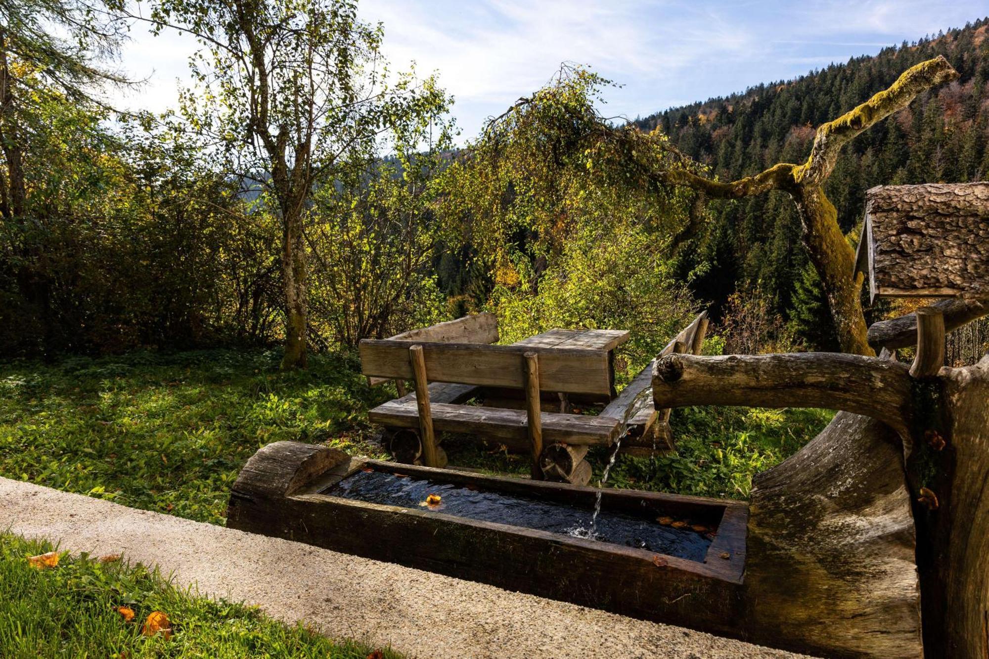 Forsthaus - Mitten Im Skigebiet Apartment