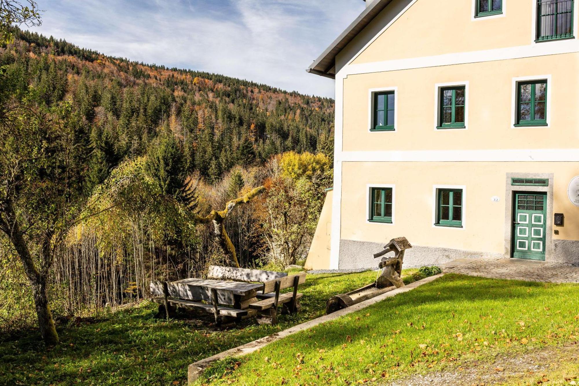 Forsthaus - Mitten Im Skigebiet Apartment