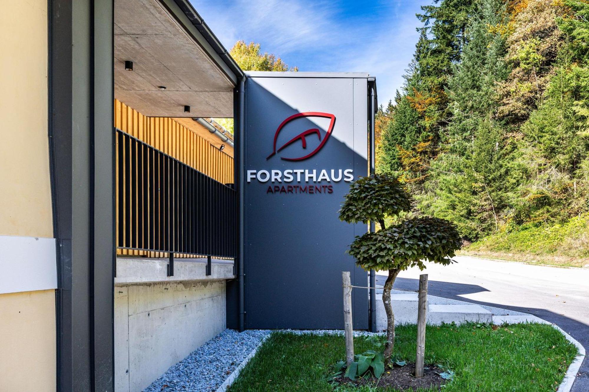 Apartment Forsthaus - Mitten Im Skigebiet