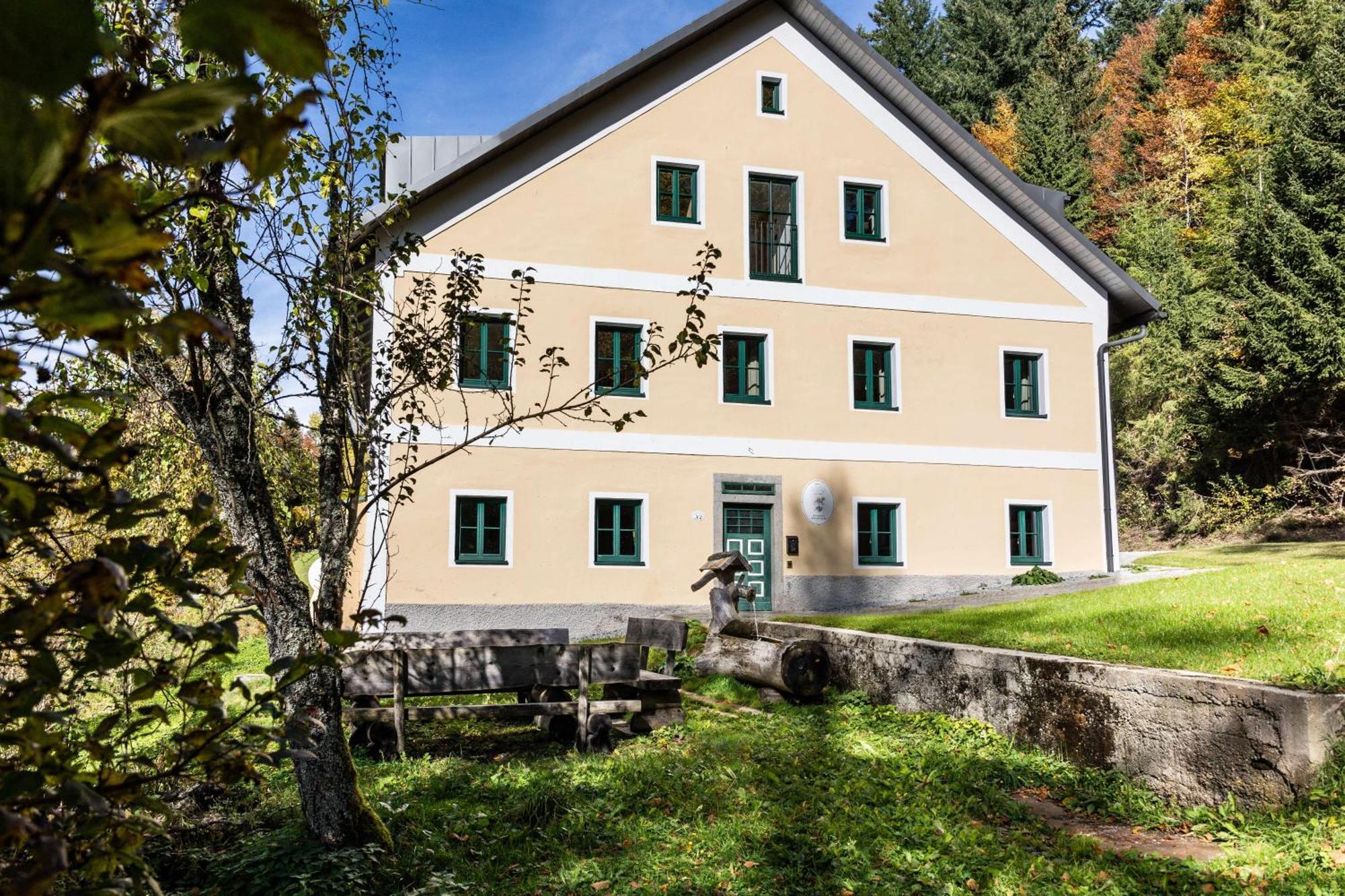 Forsthaus - Mitten Im Skigebiet Apartment